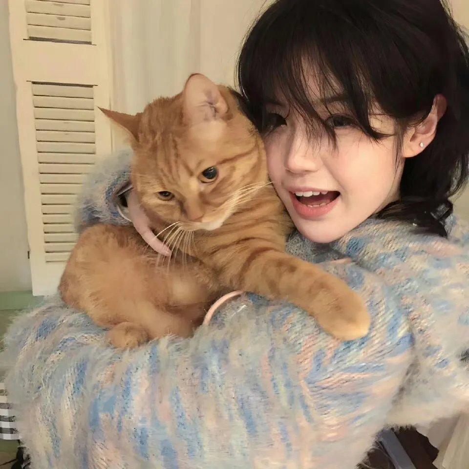 新城猎人